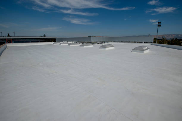 Best Roof Coating Services  in Woodland Park, NE