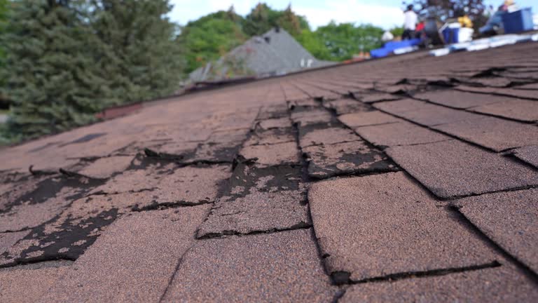 Best Gutter Installation and Repair  in Woodland Park, NE