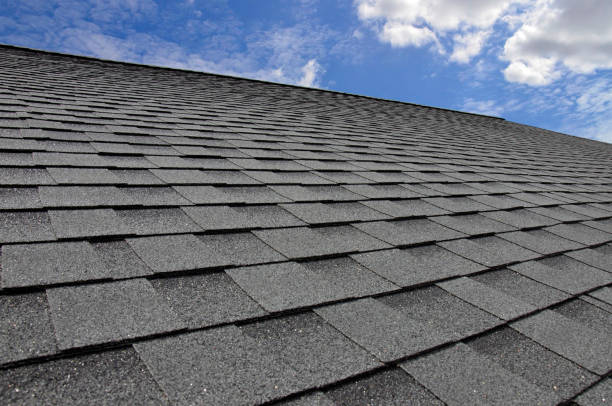 Best Steel Roofing  in Woodland Park, NE